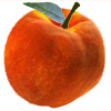 Q18 Peach