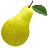 Anjou Pear 